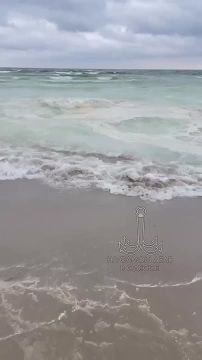 ������ ������ ������������� ������� ������������