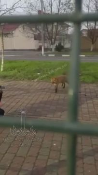 ���� � ������: �� ������, � ����