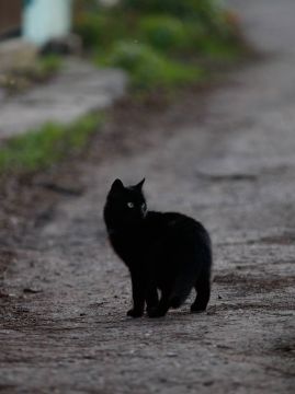 �������� ����� ������� � ���� �������� �����!