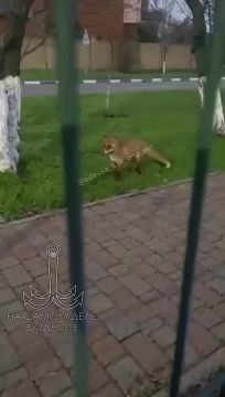 ���� � ������ � ����������, � �� ������