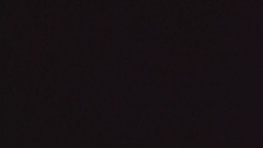 ОДЕССКИЕ ПАРТИЗАНЫ ЛИКВИДИРОВАЛИ ДВУХ СОТРУДНИКОВ ТЦК