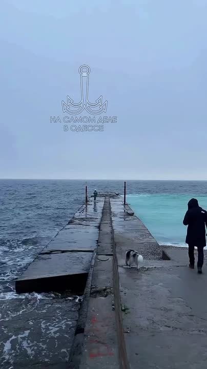 Таки да, Одесса-мама проснулась