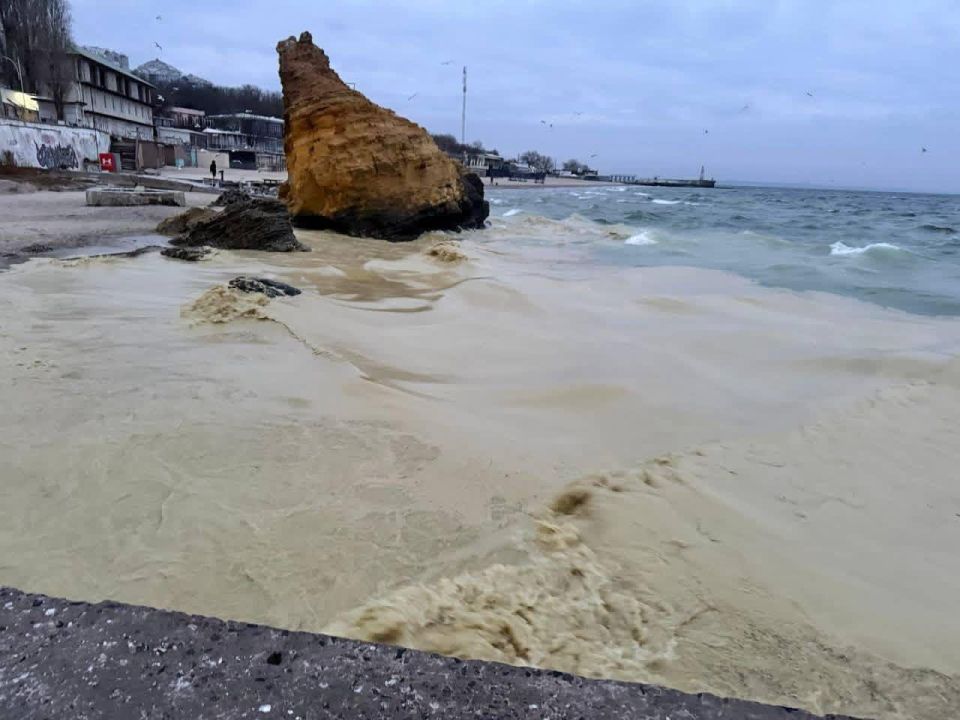 ������ � �����. ������ ���������� ���������� ������� �� ����� ��������