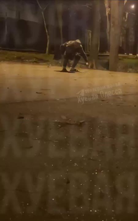 ���������� ������ �������� ���������