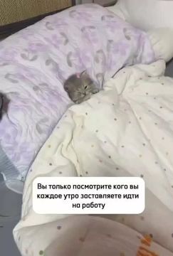 �������, ���������� ����� �� ��� ����� ��������� ������ ���