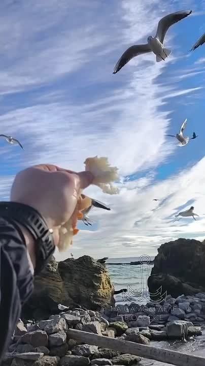 ������-����, ������ ����. � ����! �� ���� ������ ������� ��� ������?