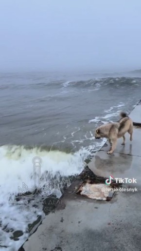 ���� ��, ������-���� ����������