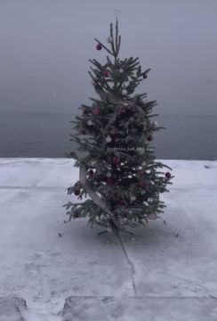 � ������ ���� �� ����� ���������� ���������� ����