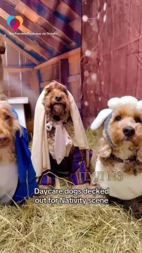 �� ������ �� ����������� ������������ �������� ������� ���������� �������� � ������������