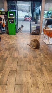 � ������ �������� ������ ������������