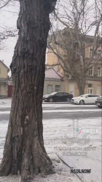 ������ �������� ����, ������!