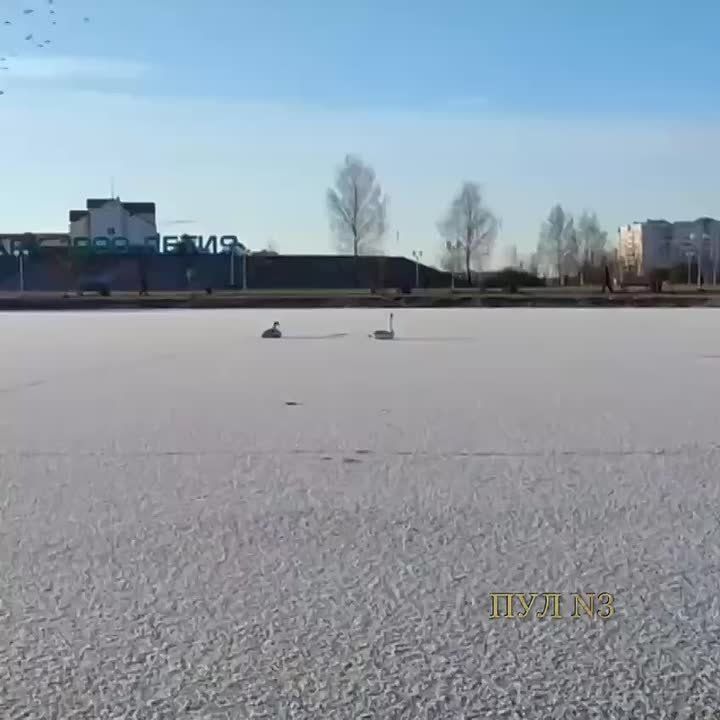 �������� ���� ��� ����� �������� � ������� � ������ � ������� ����� �������