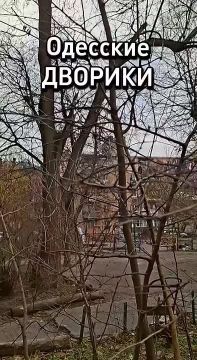 Чупакабру заметили во дворе одного из домов в Одессе