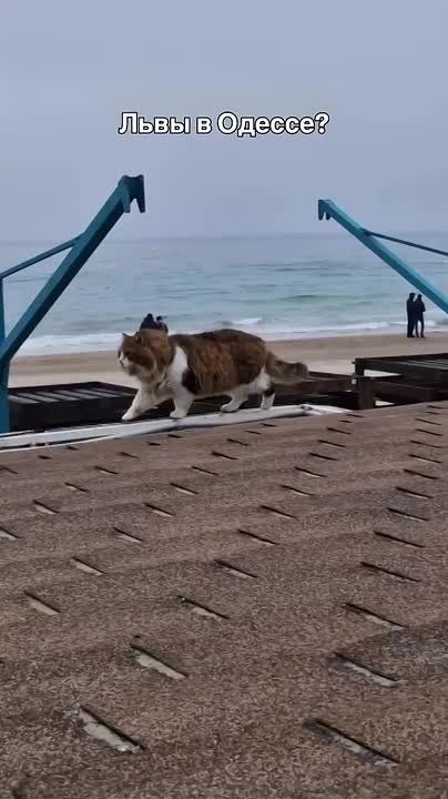 ��, ��� �� ����� ��� �������� ������!