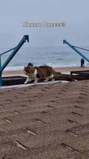 ��, ��� �� ����� ��� �������� ������!