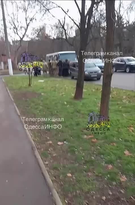 ����� ���������. ������, ��. ������ ���� (����