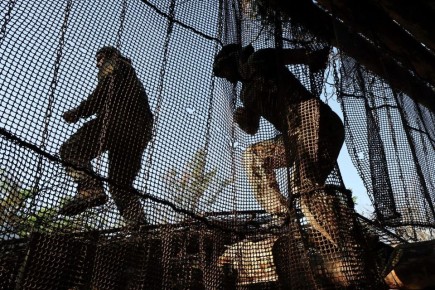 ���������� ������� ���������� ������� ������ � ������� �������� �� �������