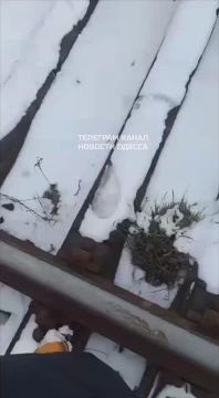 Поезд Киев — Одесса заминирован