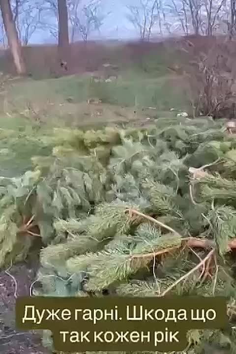 � ������ ��������� ������� ��������