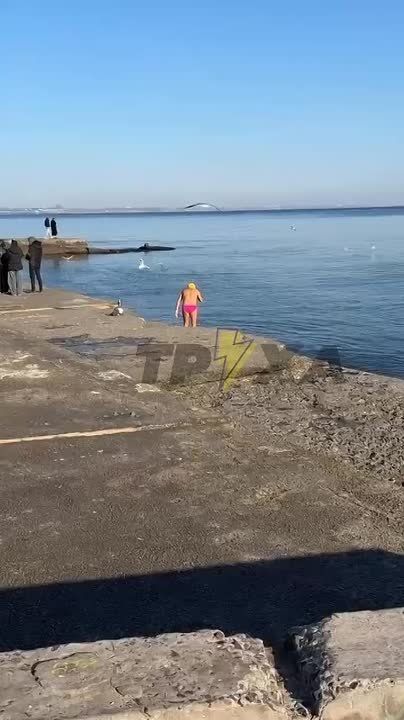 �������� ������� ��������� ����� 2026 ����