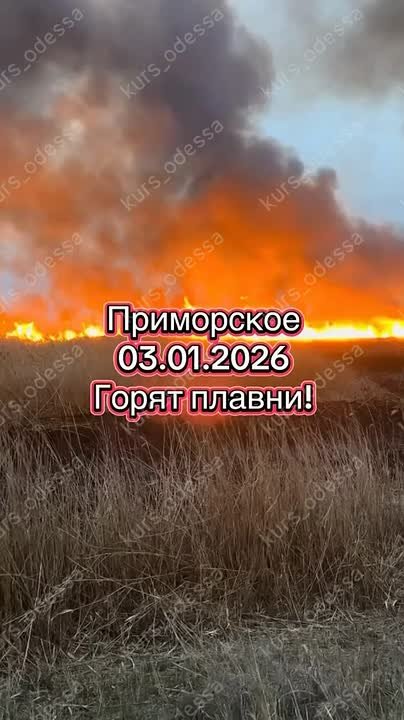 Одесса в огне и дыму. В первые дни нового года в Стенцовско-Жебрияновских плавнях был совершён поджог