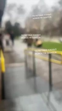 Толпа военкомов скрутила одессита на глазах у людей