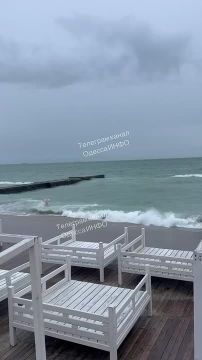 Голожопики плескаются в зимнем море в Одессе