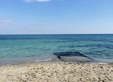 Доброе утро, Одесса!. Температура: минимальная температура составит 0 градусов, в течение дня воздух прогреется до +1. Ощущаться будет как -5 градусов