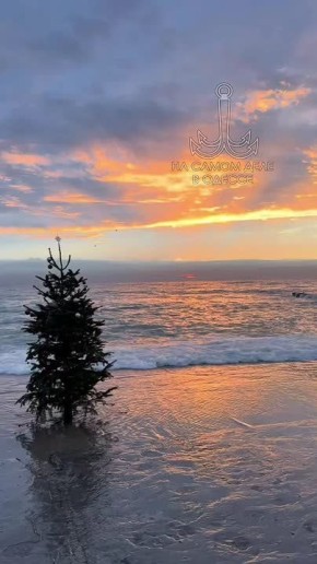 ���� ��, ������-���� ����������