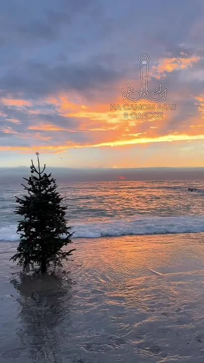 Таки да, Одесса-мама проснулась