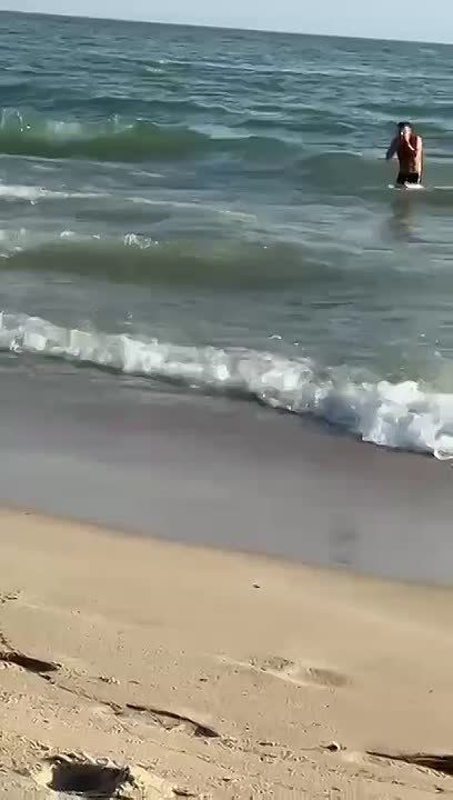 ��������� ����, ������. ������� ����������, ����� ������������ ������������ ������������ ���������� ������������ ������, ��������� � �������� ��������� �������� ��������� ����������� � ���������, ������� � ���� ���� ������...