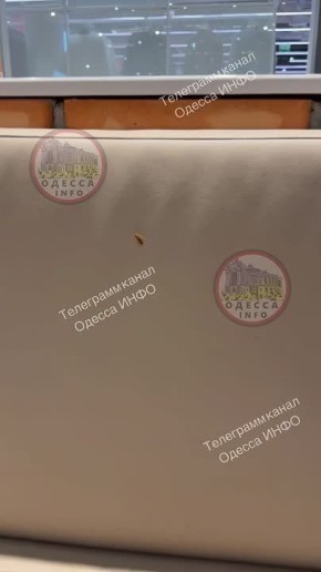 Таракан пообедал вместе с одесситом в KFC