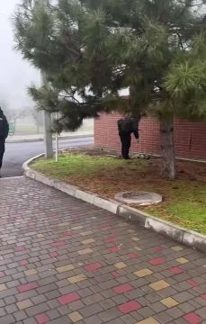 � �������� ������� ���������������� ����������