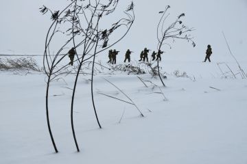 ������� ��� ������� � ���� ����� ���������� �� ���� ����, ������� ��������