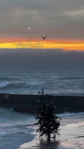 ���� ��, ������-���� ����������