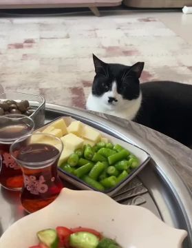 ������ ����, ��������!. �����������: ����������� ����������� ������� �������� -2 �������, ������������ � +1 ������