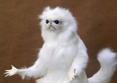 ������� ������� ���������, �� ������� ��� ����� � ��� ������