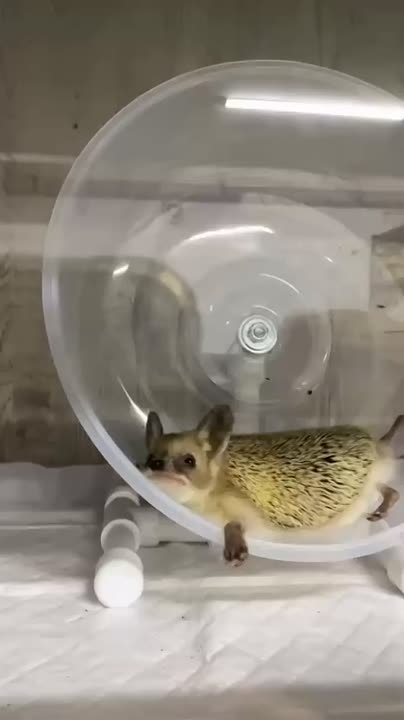 Доброе утро, Одесса!. Температура: минимальная температура составит -7 градусов, в течение дня воздух прогреется до -6. Ощущаться будет как -14 градусов