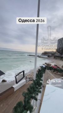 Таки да, Одесса-мама проснулась