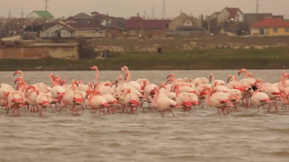 ������� ������� �������� ��������� � ����� � �������� ��������