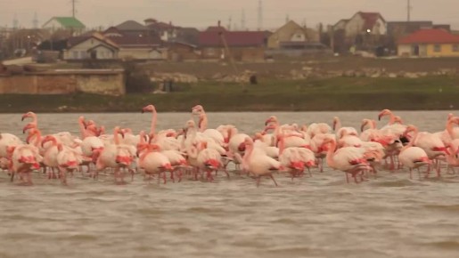 ������� ������� �������� ��������� � ����� � �������� ��������