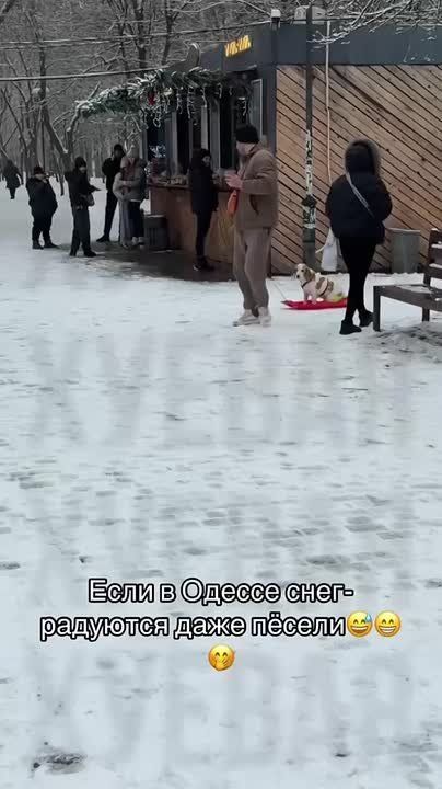 ϸ���� � ������ �������� ����