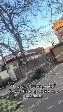 Школа, школа… Какие воспоминания после неё останутся?