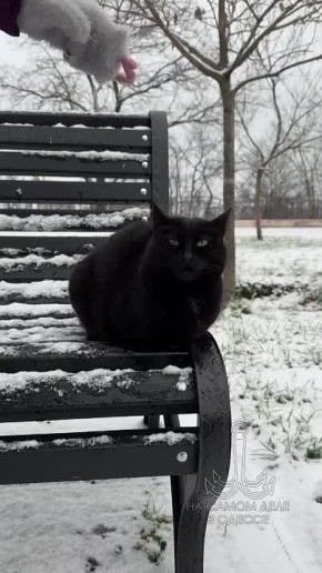 ���� ��, ������-���� ����������