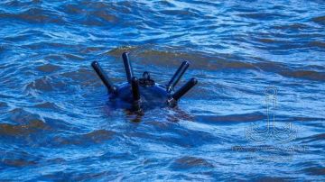 �������������� ������ ���� ������� �� ����������� ��������� ����� � �����