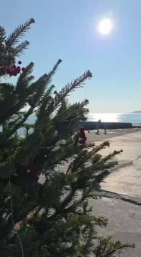 ������ ����, ������!. ������� �������, 16 ������, ����� � ������