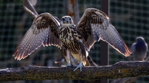 ������ ����� �������� � ����� ��������