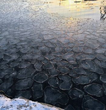 � ������ ������� �� ��������� ����������� ��������� ׸���� ����