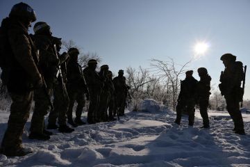 �� ������� �������� �������� ������ �� ���������� �� �����