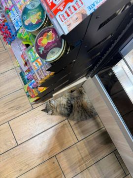 ��� �������� ���� �������� ������ � ������